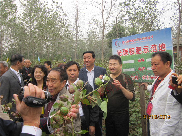 光碳核肥喷施的棉花高产