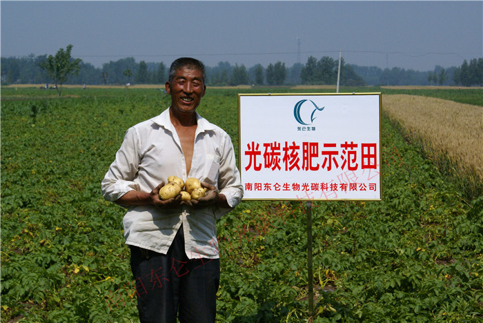 南阳市宛城区黄太岗光碳土豆产量翻倍